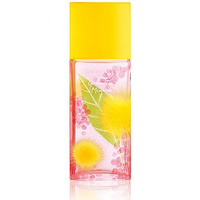 Green Tea Mimosa woda toaletowa spray 100ml