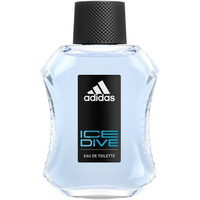 Ice Dive woda toaletowa spray 100ml