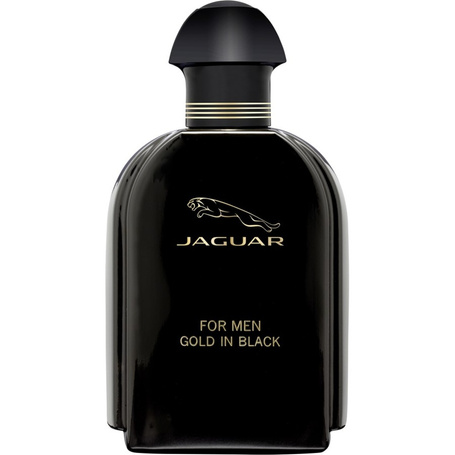 Gold In Black For Men woda toaletowa spray 100ml