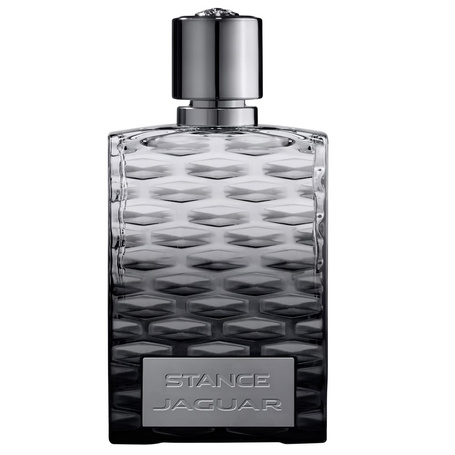 Stance woda toaletowa spray 100ml