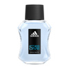 Ice Dive woda toaletowa spray 50ml