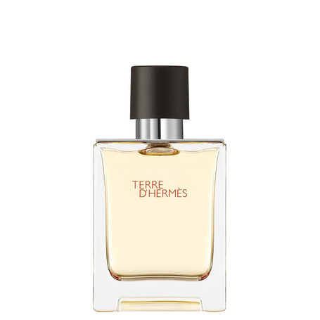 Hermes Terre D'Hermes woda toaletowa spray 100ml
