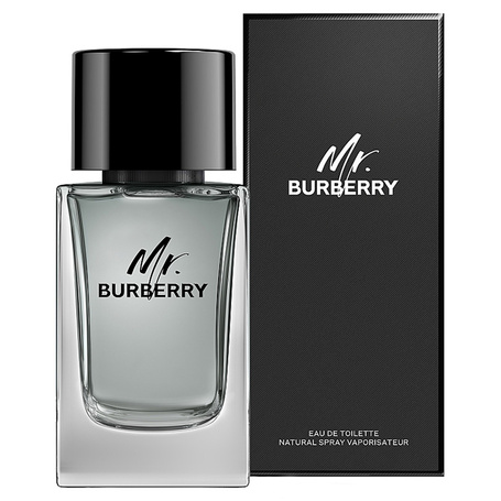 Mr. Burberry woda toaletowa spray 50ml