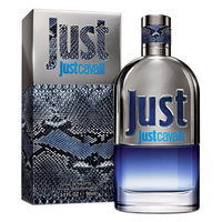 Just Cavalli Him 2013 woda toaletowa spray 90ml