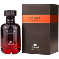 Tad Angel Spectra Homme EDP 100ml