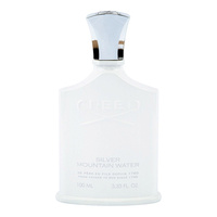 Silver Mountain Water woda perfumowana spray 100ml