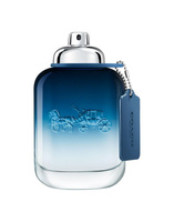 Blue woda toaletowa spray 100ml