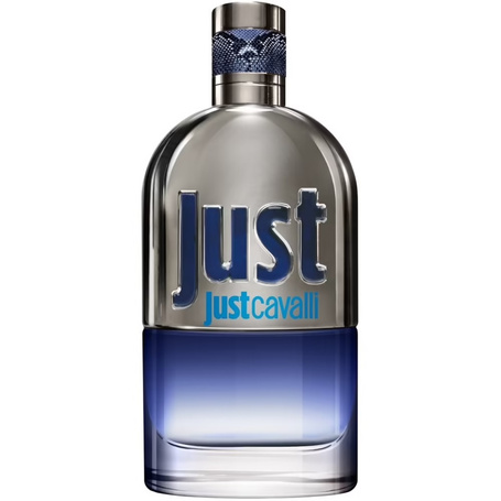 Just Cavalli Him 2013 woda toaletowa spray 90ml