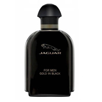 Gold In Black For Men woda toaletowa spray 100ml