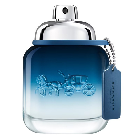 Blue woda toaletowa spray 40ml