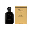 Gold In Black For Men woda toaletowa spray 100ml