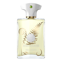 Amouage Bracken Man woda perfumowana spray 100ml